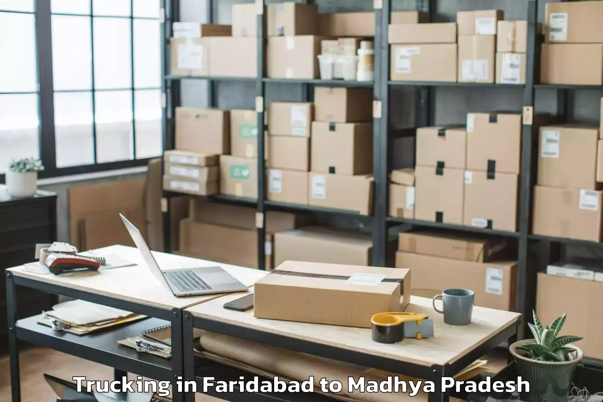 Easy Faridabad to Gandhwani Trucking Booking